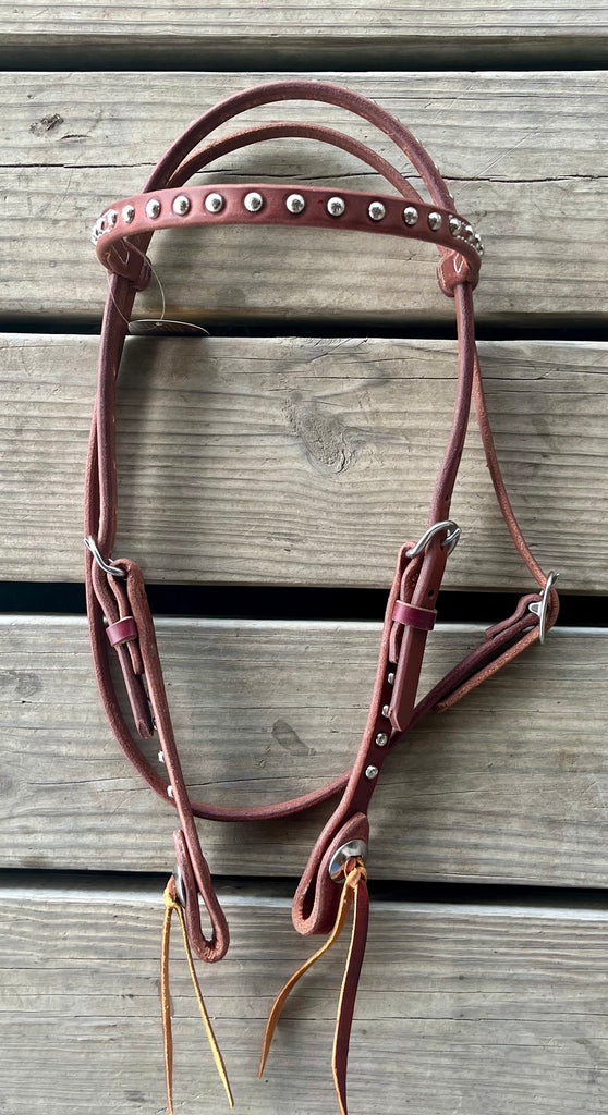 Double Buckle Browband w/ Fancy Dots