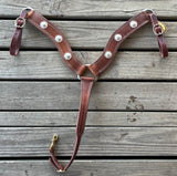 Large Steer Roper w/ Silver conchos