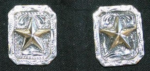 Cowgirls Tale Star Earrings
